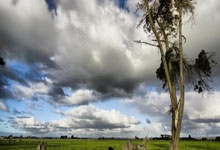 乐鱼体育-戈贝尔统治内线连续得分拉开差距，浙江队稳扎稳打力克辽宁