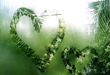 乐鱼-莱万爆发与利物浦强行终结新西兰，足球世界里的偶然与必然