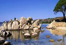 乐鱼app-法国羽毛球队横扫日本羽毛球队，陶菲克制霸全场——羽坛新星崛起的精彩瞬间